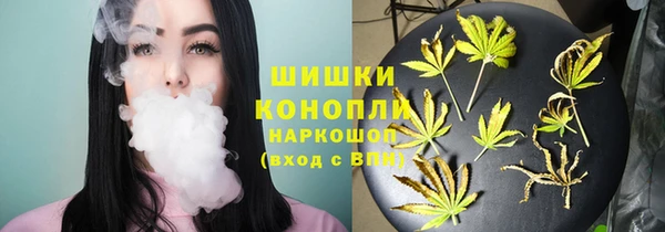 apvp Горнозаводск