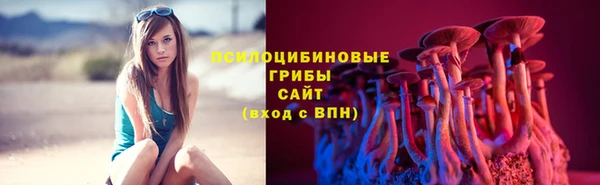 apvp Горнозаводск