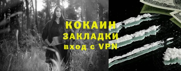 apvp Горнозаводск