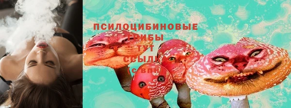 apvp Горнозаводск